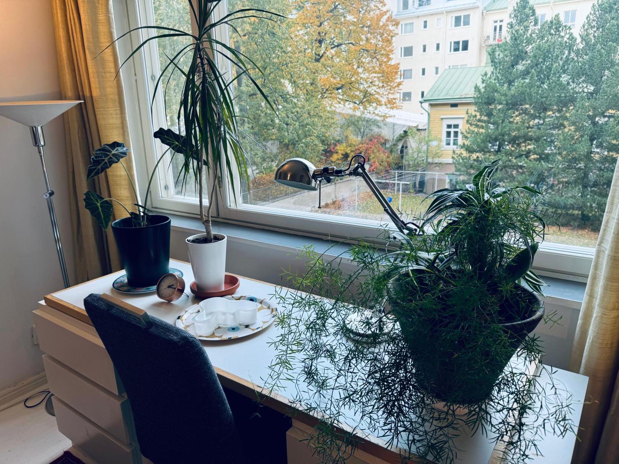 Lovely Apartment, Vuorimiehenkatu 31 Helsinki Luaran gambar
